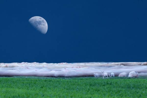 Photograph Floriana Barbu The Realm Of Dreams on One Eyeland